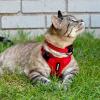 image:imageVoyager EscapeProof Stepin Lock Cat Harness amp 5ft NeopreneHandle Leash Set AllWeather Mesh with Reflective Stitching for Small to Large Cats by Best Pet Supplies Orange SHarness Leash Set Red