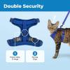 image:imageVoyager EscapeProof Stepin Lock Cat Harness amp 5ft NeopreneHandle Leash Set AllWeather Mesh with Reflective Stitching for Small to Large Cats by Best Pet Supplies Orange SRoyal Blue 327