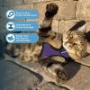 image:imageVoyager EscapeProof Stepin Lock Cat Harness amp 5ft NeopreneHandle Leash Set AllWeather Mesh with Reflective Stitching for Small to Large Cats by Best Pet Supplies Orange SHarness Leash Set PurpleBlack Trim