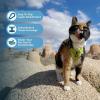 image:imageVoyager EscapeProof Stepin Lock Cat Harness amp 5ft NeopreneHandle Leash Set AllWeather Mesh with Reflective Stitching for Small to Large Cats by Best Pet Supplies Orange SHarness Leash Set Lime Green