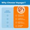 image:imageVoyager EscapeProof Stepin Lock Cat Harness amp 5ft NeopreneHandle Leash Set AllWeather Mesh with Reflective Stitching for Small to Large Cats by Best Pet Supplies Orange SOrange 327