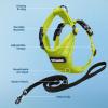 image:imageVoyager EscapeProof Stepin Lock Cat Harness amp 5ft NeopreneHandle Leash Set AllWeather Mesh with Reflective Stitching for Small to Large Cats by Best Pet Supplies Orange SHarness Leash Set Lime Green