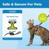 image:imageVoyager EscapeProof Stepin Lock Cat Harness amp 5ft NeopreneHandle Leash Set AllWeather Mesh with Reflective Stitching for Small to Large Cats by Best Pet Supplies Orange SBlack TrimLime 327