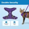 image:imageVoyager EscapeProof Stepin Lock Cat Harness amp 5ft NeopreneHandle Leash Set AllWeather Mesh with Reflective Stitching for Small to Large Cats by Best Pet Supplies Orange SPurple 327