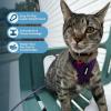 image:imageVoyager EscapeProof Stepin Lock Cat Harness amp 5ft NeopreneHandle Leash Set AllWeather Mesh with Reflective Stitching for Small to Large Cats by Best Pet Supplies Orange SHarness Leash Set Purple