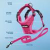 image:imageVoyager EscapeProof Stepin Lock Cat Harness amp 5ft NeopreneHandle Leash Set AllWeather Mesh with Reflective Stitching for Small to Large Cats by Best Pet Supplies Orange SHarness Leash Set Fuchsia