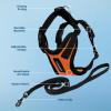 image:imageVoyager EscapeProof Stepin Lock Cat Harness amp 5ft NeopreneHandle Leash Set AllWeather Mesh with Reflective Stitching for Small to Large Cats by Best Pet Supplies Orange SHarness Leash Set OrangeBlack Trim