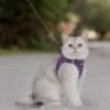 image:imageVoyager Stepin Pet Harness  All Weather Mesh Adjustable Step in Harness for Cats and Dogs by Best Pet Supplies  ArmyBlack Trim M307 Set Purple
