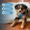 image:imageVoyager Stepin Pet Harness  All Weather Mesh Adjustable Step in Harness for Cats and Dogs by Best Pet Supplies  ArmyBlack Trim MHarness Baby Blue