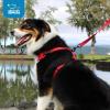 image:imageVoyager Stepin Pet Harness  All Weather Mesh Adjustable Step in Harness for Cats and Dogs by Best Pet Supplies  ArmyBlack Trim MHarness Baby Blue