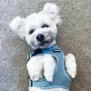 image:imageVoyager Stepin Pet Harness  All Weather Mesh Adjustable Step in Harness for Cats and Dogs by Best Pet Supplies  ArmyBlack Trim MHarness Baby Blue