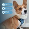 image:imageVoyager Stepin Pet Harness  All Weather Mesh Adjustable Step in Harness for Cats and Dogs by Best Pet Supplies  ArmyBlack Trim MHarness Baby BlueBlack Trim
