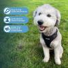 image:imageVoyager Stepin Pet Harness  All Weather Mesh Adjustable Step in Harness for Cats and Dogs by Best Pet Supplies  ArmyBlack Trim MHarness Black
