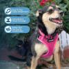 image:imageVoyager Stepin Pet Harness  All Weather Mesh Adjustable Step in Harness for Cats and Dogs by Best Pet Supplies  ArmyBlack Trim MHarness Fuchsia