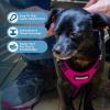 image:imageVoyager Stepin Pet Harness  All Weather Mesh Adjustable Step in Harness for Cats and Dogs by Best Pet Supplies  ArmyBlack Trim MHarness FuchsiaBlack Trim