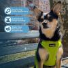 image:imageVoyager Stepin Pet Harness  All Weather Mesh Adjustable Step in Harness for Cats and Dogs by Best Pet Supplies  ArmyBlack Trim MHarness Lime Green