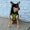 image:imageVoyager Stepin Pet Harness  All Weather Mesh Adjustable Step in Harness for Cats and Dogs by Best Pet Supplies  ArmyBlack Trim MHarness Lime GreenBlack Trim