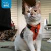image:imageVoyager Stepin Pet Harness  All Weather Mesh Adjustable Step in Harness for Cats and Dogs by Best Pet Supplies  ArmyBlack Trim MHarness Orange