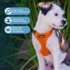 image:imageVoyager Stepin Pet Harness  All Weather Mesh Adjustable Step in Harness for Cats and Dogs by Best Pet Supplies  ArmyBlack Trim MHarness Orange