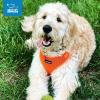 image:imageVoyager Stepin Pet Harness  All Weather Mesh Adjustable Step in Harness for Cats and Dogs by Best Pet Supplies  ArmyBlack Trim MHarness Orange