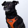 image:imageVoyager Stepin Pet Harness  All Weather Mesh Adjustable Step in Harness for Cats and Dogs by Best Pet Supplies  ArmyBlack Trim MHarness OrangeBlack Trim