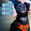image:imageVoyager Stepin Pet Harness  All Weather Mesh Adjustable Step in Harness for Cats and Dogs by Best Pet Supplies  ArmyBlack Trim MHarness OrangeBlack Trim