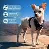 image:imageVoyager Stepin Pet Harness  All Weather Mesh Adjustable Step in Harness for Cats and Dogs by Best Pet Supplies  ArmyBlack Trim MHarness PinkBlack Trim
