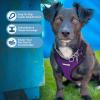 image:imageVoyager Stepin Pet Harness  All Weather Mesh Adjustable Step in Harness for Cats and Dogs by Best Pet Supplies  ArmyBlack Trim MHarness PurpleBlack Trim