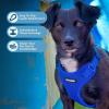 image:imageVoyager Stepin Pet Harness  All Weather Mesh Adjustable Step in Harness for Cats and Dogs by Best Pet Supplies  ArmyBlack Trim MHarness Royal Blue