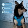 image:imageVoyager Stepin Pet Harness  All Weather Mesh Adjustable Step in Harness for Cats and Dogs by Best Pet Supplies  ArmyBlack Trim MHarness Turquoise