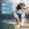 image:imageVoyager Stepin Pet Harness  All Weather Mesh Adjustable Step in Harness for Cats and Dogs by Best Pet Supplies  ArmyBlack Trim MHarness TurquoiseBlack Trim