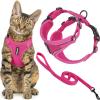 Fuchsia (327)