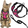 Black Trim-Fuchsia (327)
