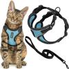 Black Trim-Baby Blue (327)