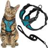 Black Trim-Turquoise (327)