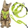 Lime (327)
