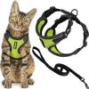 Black Trim-Lime (327)