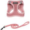 307 Set Pink