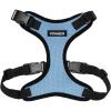Harness (Baby Blue/Black Trim)