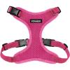 Harness (Fuchsia)