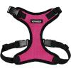 Harness (Fuchsia/Black Trim)