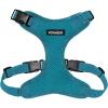Harness (Turquoise)