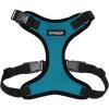 Harness (Turquoise/Black Trim)