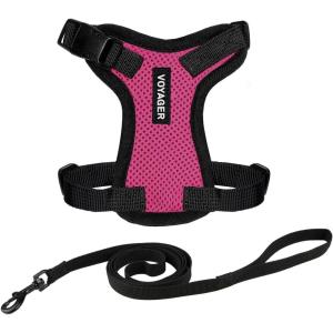 image:imageVoyager EscapeProof Stepin Lock Cat Harness amp 5ft NeopreneHandle Leash Set AllWeather Mesh with Reflective Stitching for Small to Large Cats by Best Pet Supplies Orange SHarness Leash Set FuchsiaBlack Trim