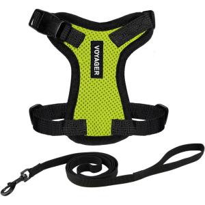 image:imageVoyager EscapeProof Stepin Lock Cat Harness amp 5ft NeopreneHandle Leash Set AllWeather Mesh with Reflective Stitching for Small to Large Cats by Best Pet Supplies Orange SHarness Leash Set Lime GreenBlack Trim