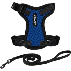 image:imageVoyager EscapeProof Stepin Lock Cat Harness amp 5ft NeopreneHandle Leash Set AllWeather Mesh with Reflective Stitching for Small to Large Cats by Best Pet Supplies Orange SHarness Leash Set Royal BlueBlack Trim