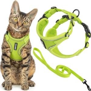 image:imageVoyager EscapeProof Stepin Lock Cat Harness amp 5ft NeopreneHandle Leash Set AllWeather Mesh with Reflective Stitching for Small to Large Cats by Best Pet Supplies Orange SLime 327