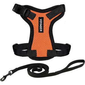 image:imageVoyager EscapeProof Stepin Lock Cat Harness amp 5ft NeopreneHandle Leash Set AllWeather Mesh with Reflective Stitching for Small to Large Cats by Best Pet Supplies Orange SHarness Leash Set OrangeBlack Trim