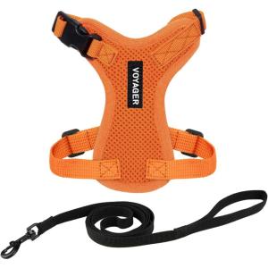 image:imageVoyager EscapeProof Stepin Lock Cat Harness amp 5ft NeopreneHandle Leash Set AllWeather Mesh with Reflective Stitching for Small to Large Cats by Best Pet Supplies Orange SHarness Leash Set Orange