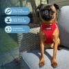 image:imageBest Pet Supplies Voyager Stepin Air All Weather Mesh Harness and Reflective Dog 5 ft Leash Combo with Neoprene Handle for Small Medium and Large Breed Puppies  Set Black SHarness Leash Set Red